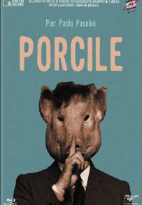 Porcile