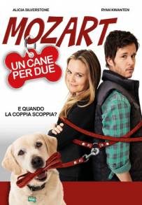 Mozart, un cane per due