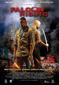 Falcon Rising