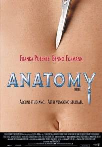 Anatomy