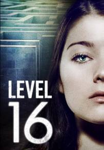 Level 16