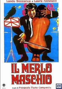 Il merlo maschio