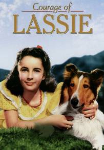 Il coraggio di Lassie