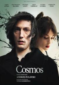 Cosmos