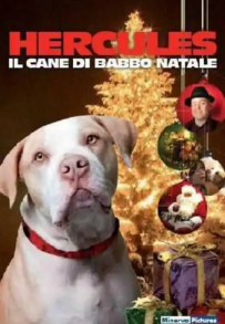 Hercules - Il Cane di Babbo Natale