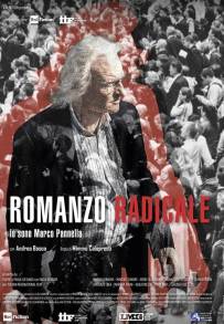 Romanzo radicale