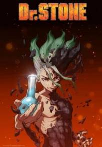 Dr. Stone