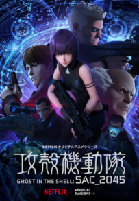 Ghost in the Shell: SAC_2045