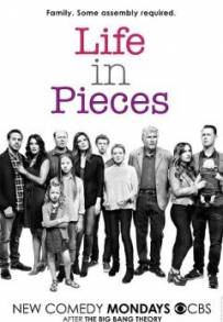 Life in Pieces